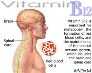 vitamin-b12-deficiency-symptoms.jpg